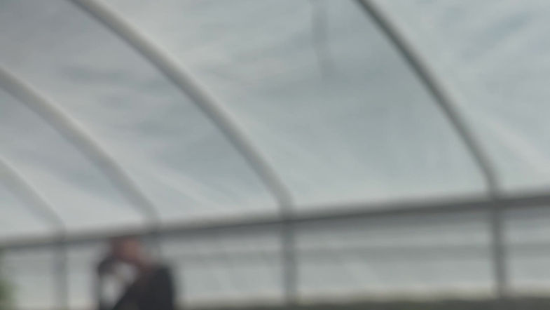 Cannabis Calendar BTS